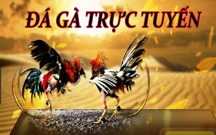 Đá Gà HitClub Đỉnh Cao Cá Cược Kịch Tính Trực Tiếp Với Tỷ Lệ Thưởng Khủng