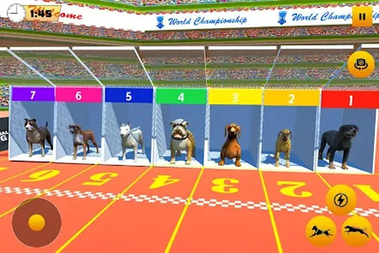 Game Nhanh Đua Chó Tại HitClub Trải Nghiệm Kịch Tính Nhận Thưởng Cực Lớn